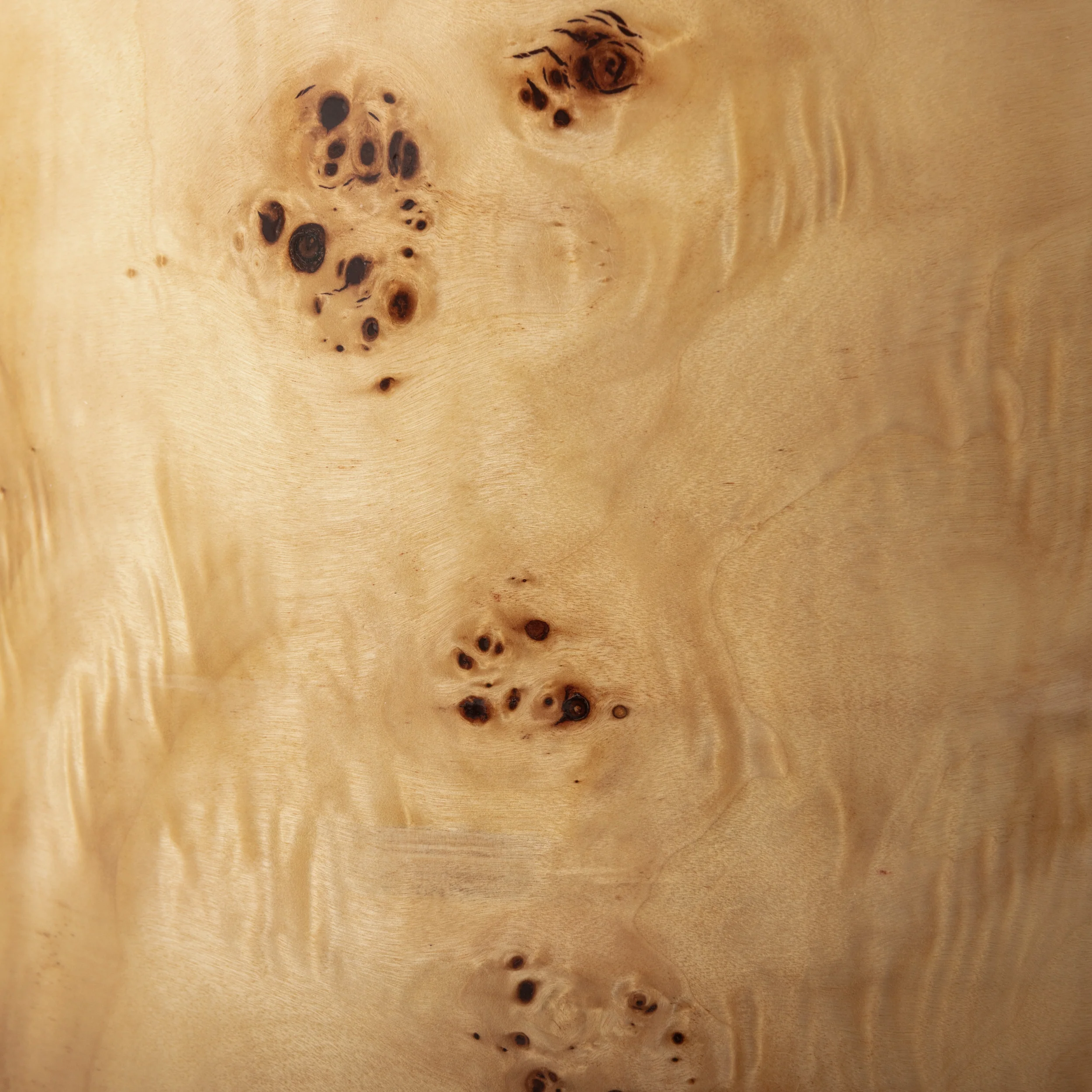 Burl Side Table - Image 9